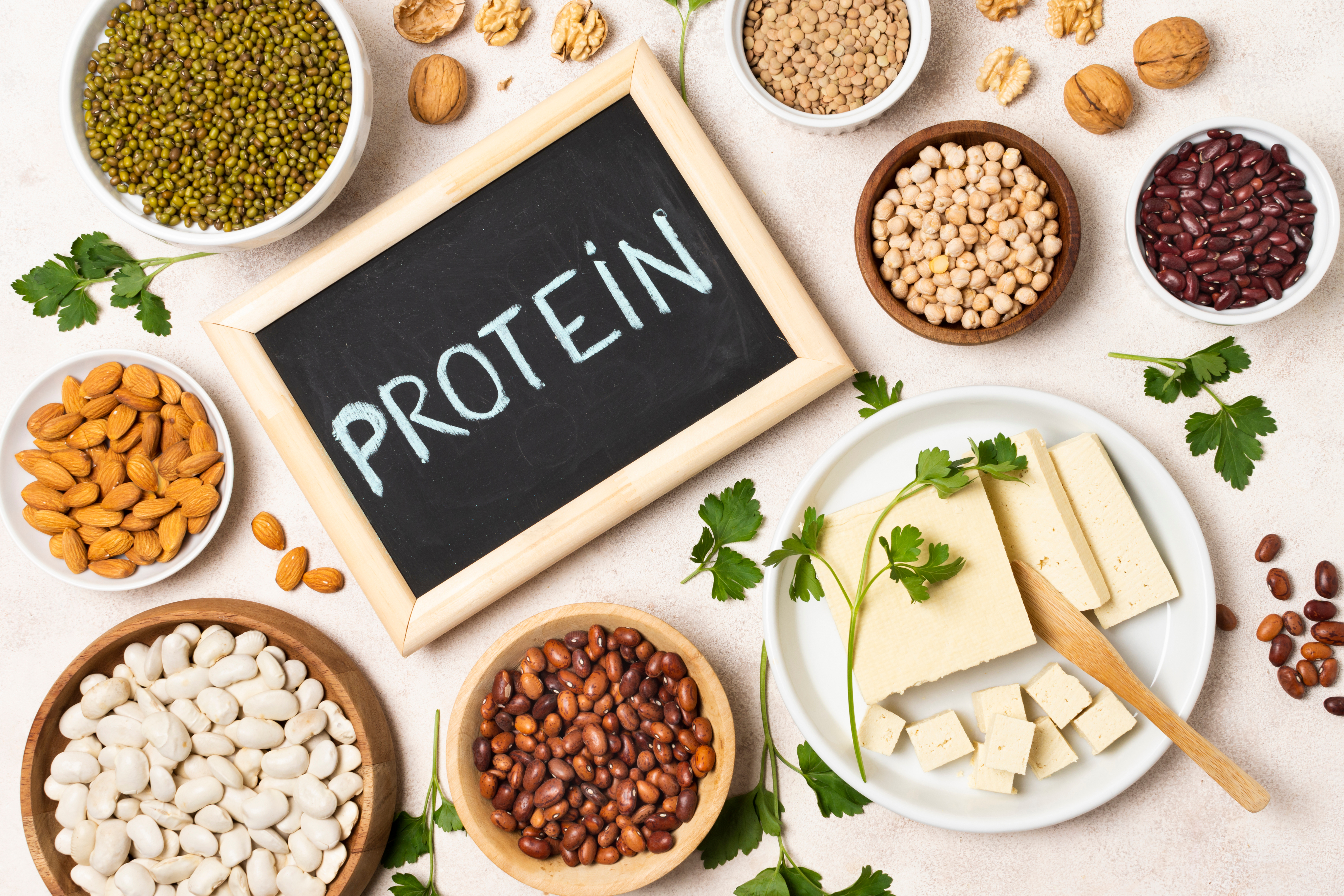 Why is protein so important?